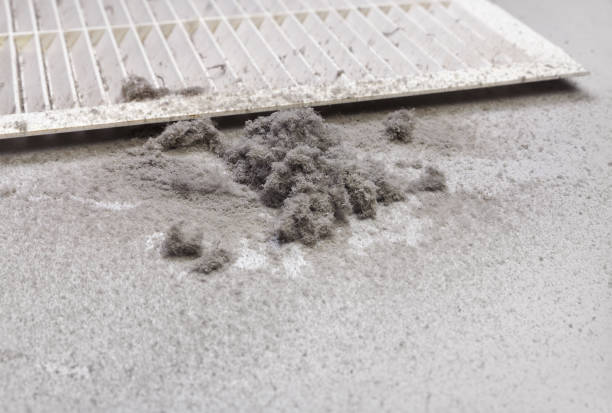 Best Local Air Duct Cleaning Services  in Verdi, NV